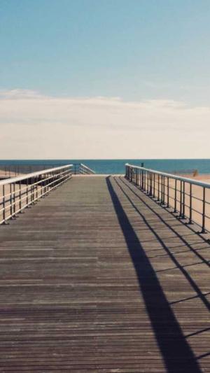 晚上吃哈密瓜好吗截图1